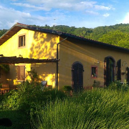 Podere Di Maggio - Casa Della Nonna Santa Fiora Zewnętrze zdjęcie