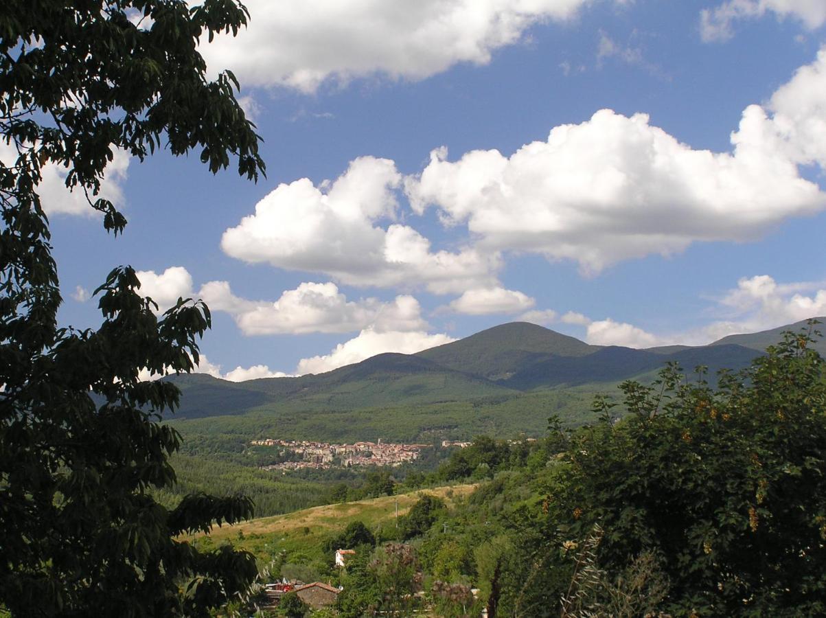 Podere Di Maggio - Casa Della Nonna Santa Fiora Zewnętrze zdjęcie