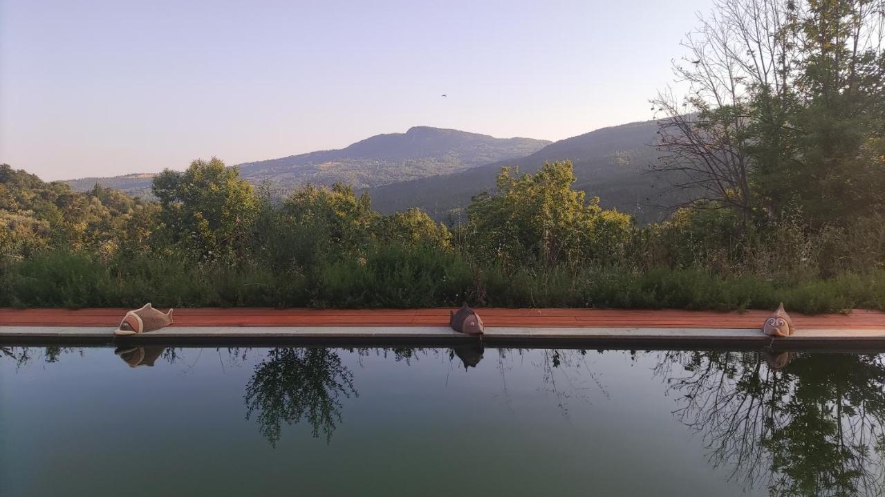 Podere Di Maggio - Casa Della Nonna Santa Fiora Zewnętrze zdjęcie