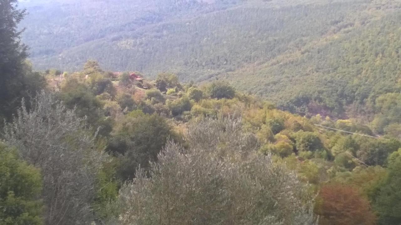 Podere Di Maggio - Casa Della Nonna Santa Fiora Zewnętrze zdjęcie