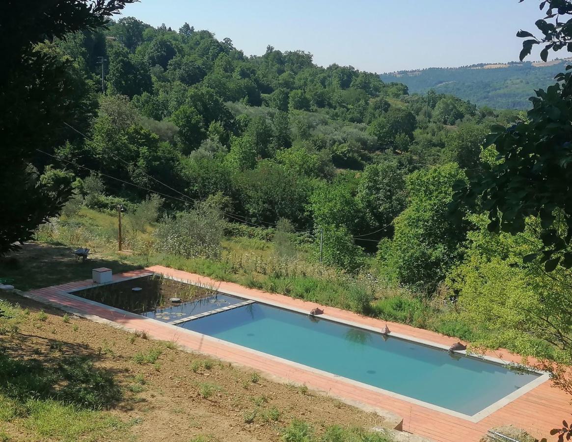 Podere Di Maggio - Casa Della Nonna Santa Fiora Zewnętrze zdjęcie