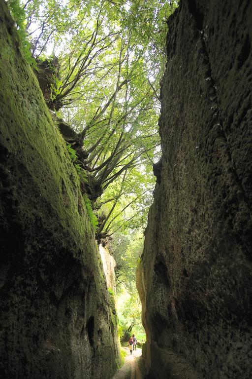 Podere Di Maggio - Casa Della Nonna Santa Fiora Zewnętrze zdjęcie