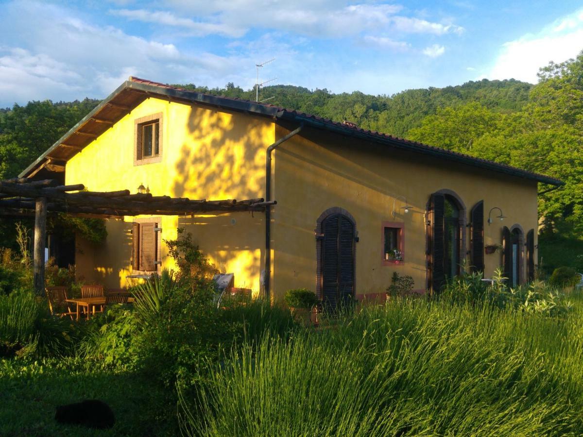 Podere Di Maggio - Casa Della Nonna Santa Fiora Zewnętrze zdjęcie