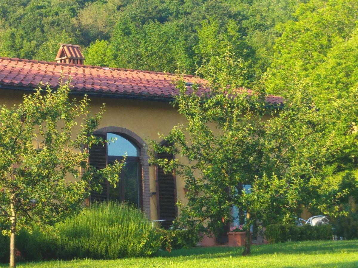 Podere Di Maggio - Casa Della Nonna Santa Fiora Zewnętrze zdjęcie